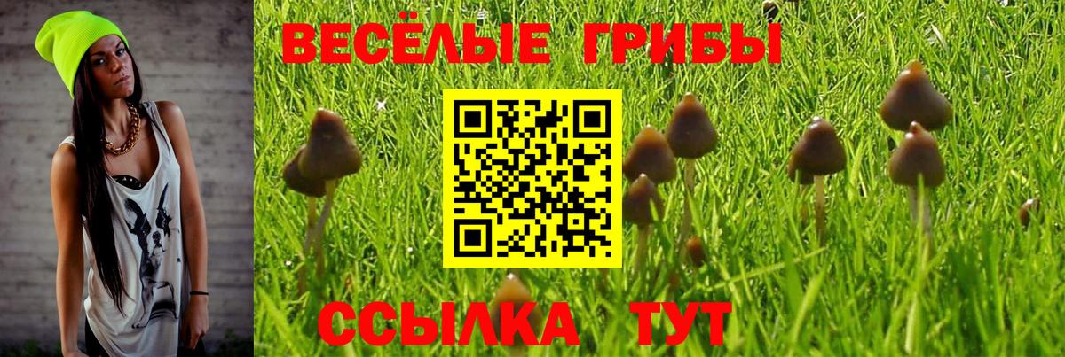 Галлюциногенные грибы Psilocybine cubensis  Псилоцибиновые грибы ЛСД  Вход с VPN  Россия 