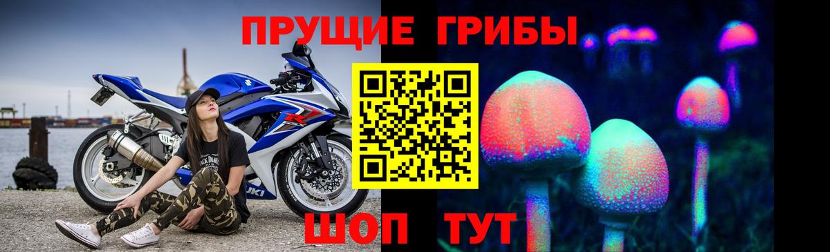 Псилоцибиновые грибы MAGIC MUSHROOMS Россия